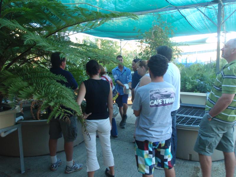 P2230080 (Medium).JPG