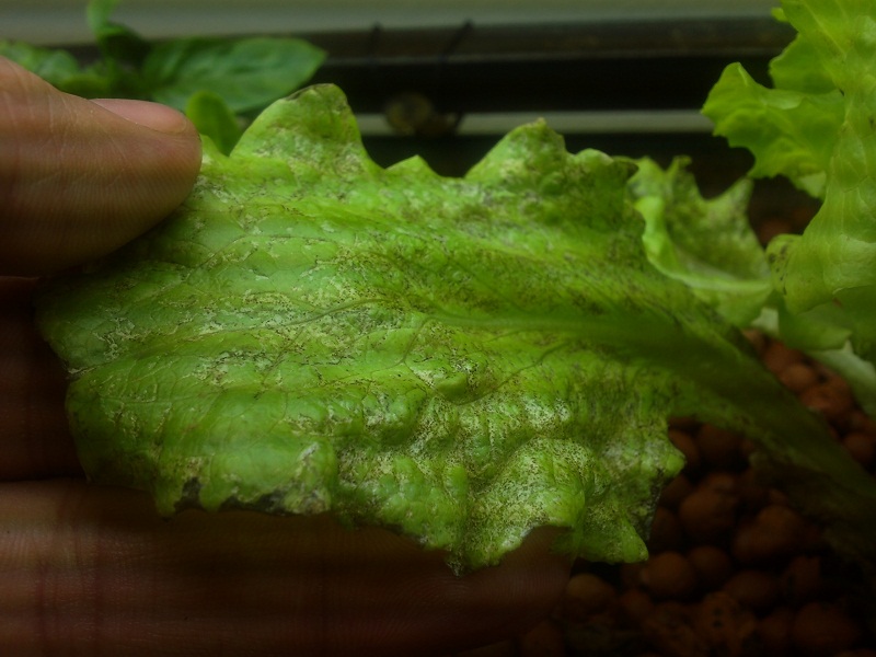 2011-02-24 23.07.41-small.jpg