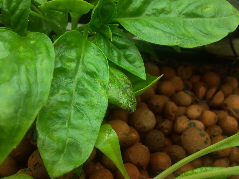 2011-02-24 23.08.01-small.jpg