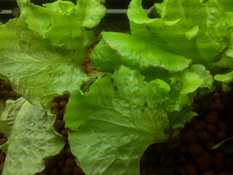 2011-02-24 23.08.27-small.jpg