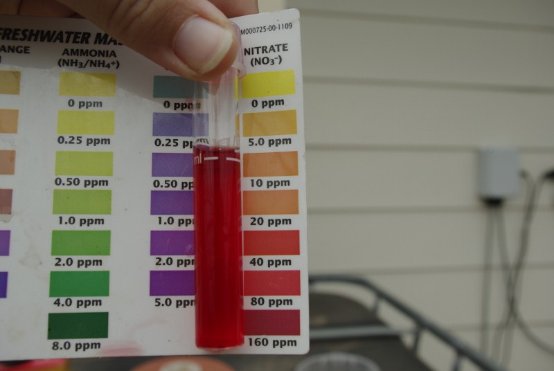 _IGP2221 (800x536).jpg