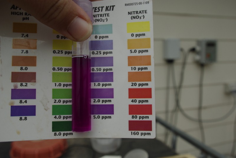 _IGP2220 (800x536).jpg