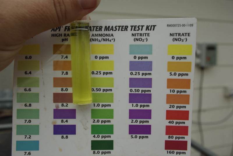 _IGP2219 (800x536).jpg