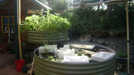 Aquaponics 006.JPG
