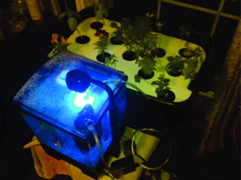 Desktop_Aquaponic1.jpg