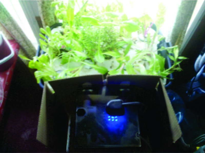 Desktop_Aquaponic6.jpg