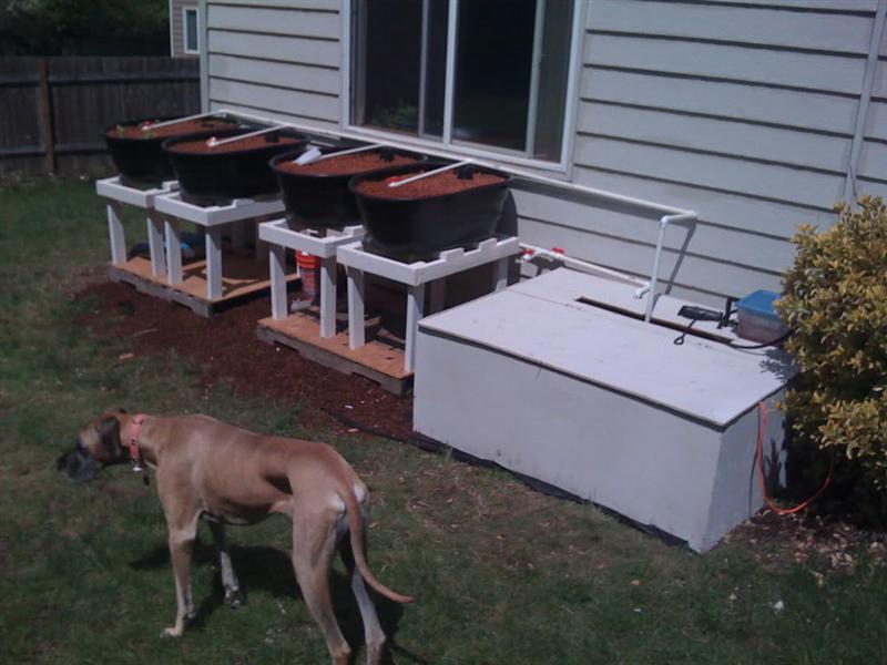 Picture (Medium).jpg