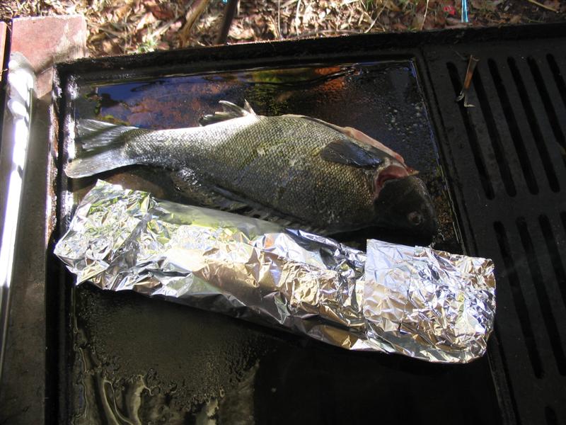 IMG_2106 (Medium).jpg