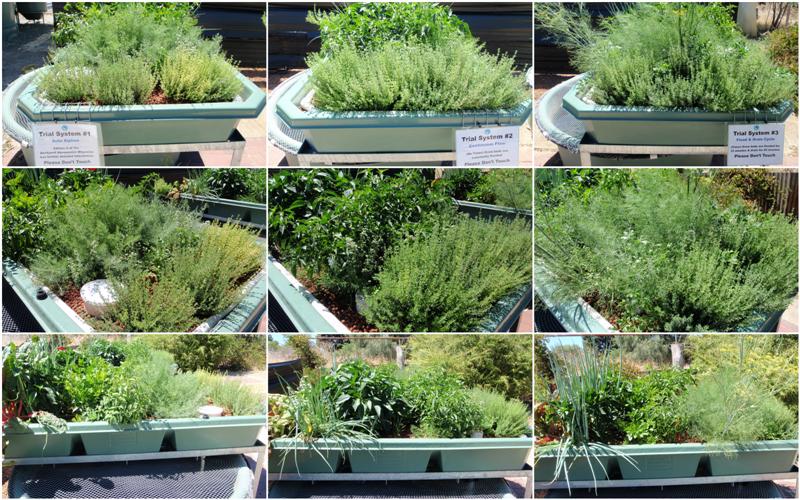 New Folder2 (Medium).jpg