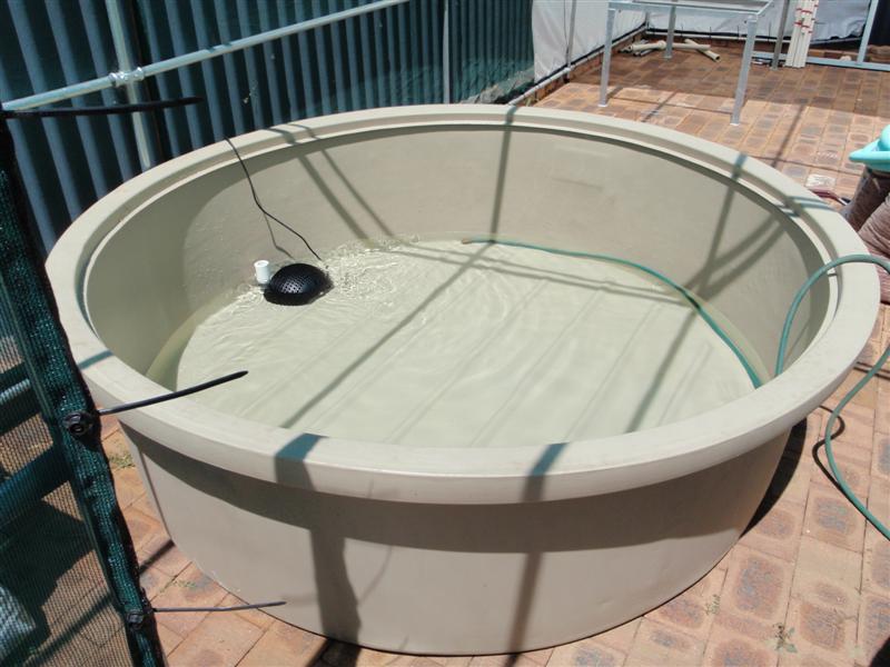 P2210039 (Medium).JPG