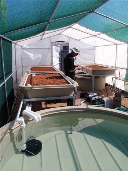 P2210041 (Medium).JPG