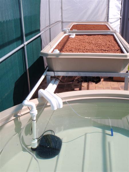 P2210042 (Medium).JPG