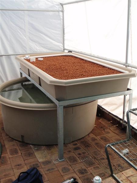 P2210043 (Medium).JPG