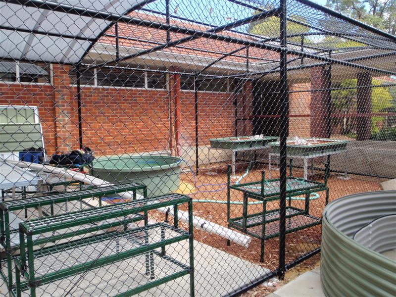 P3040069 (Medium).JPG