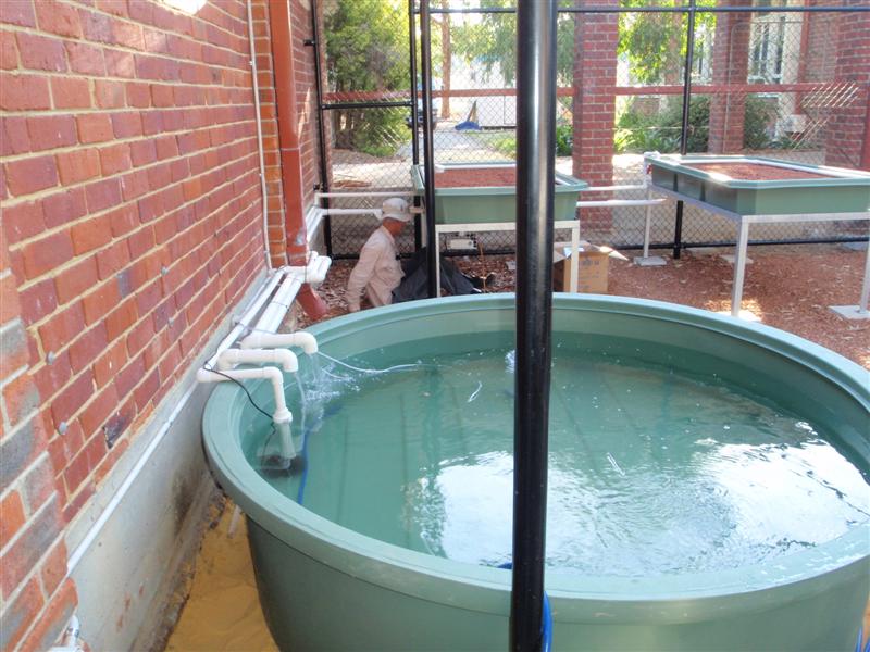 P3040070 (Medium).JPG