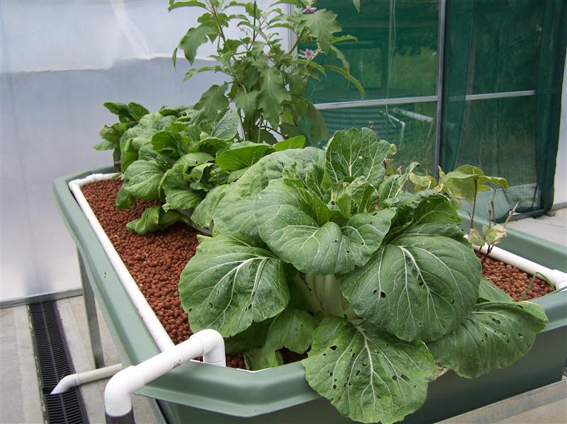 100_6000 (Custom).JPG