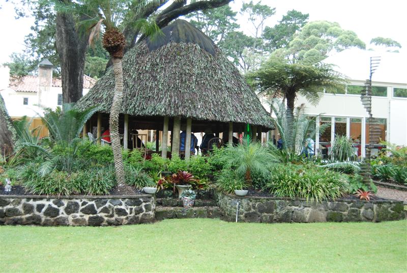 DSC_1077 (Medium).JPG