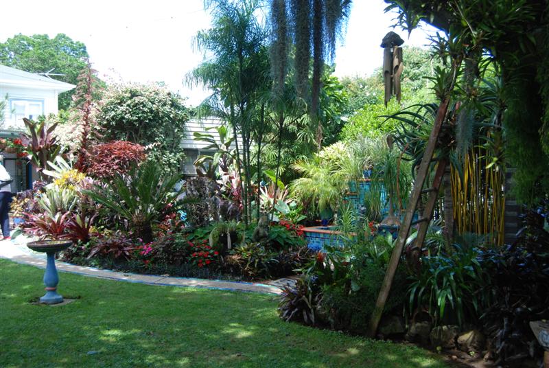 DSC_1146 (Medium).JPG