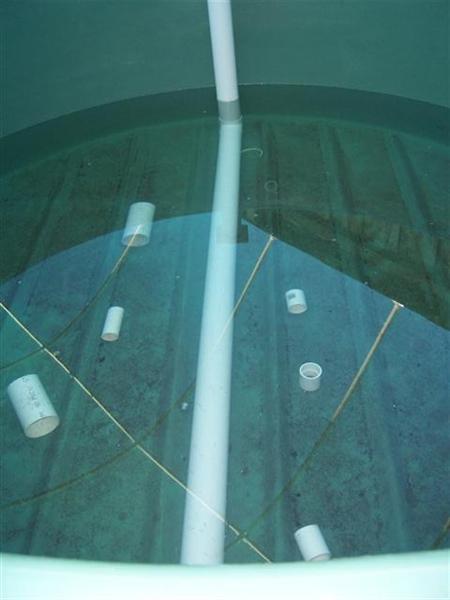 100_1905 (Small).jpg