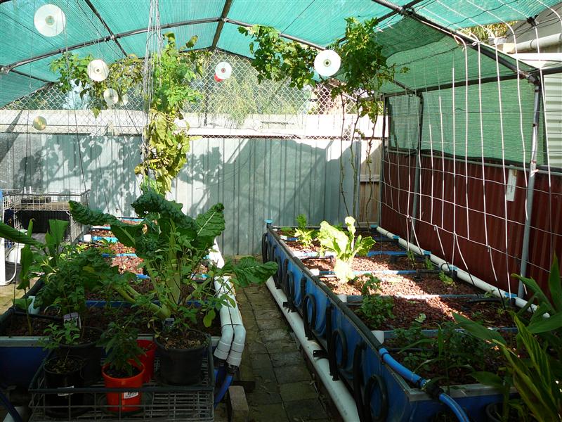 P1040745 (Custom).JPG