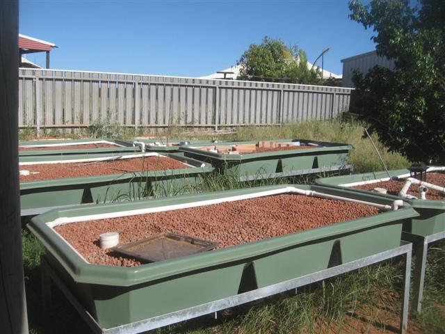 system melt down 003 (Small).jpg