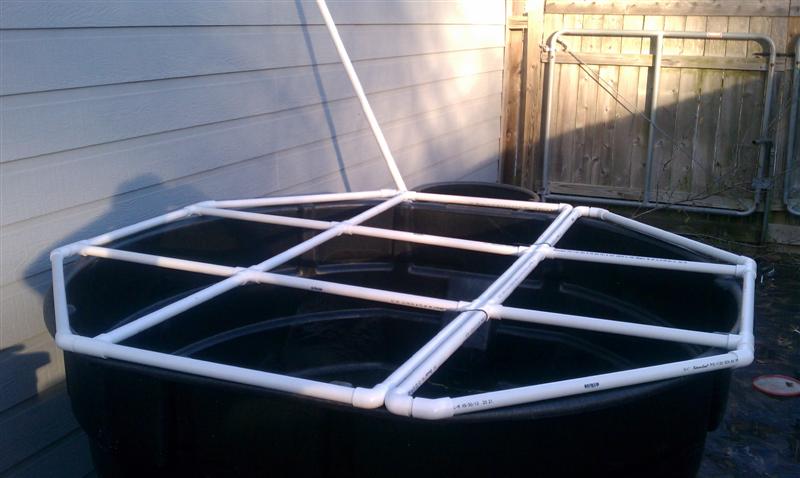 IMAG0025 (Medium).jpg