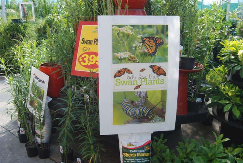 Picture 002 (Medium).jpg