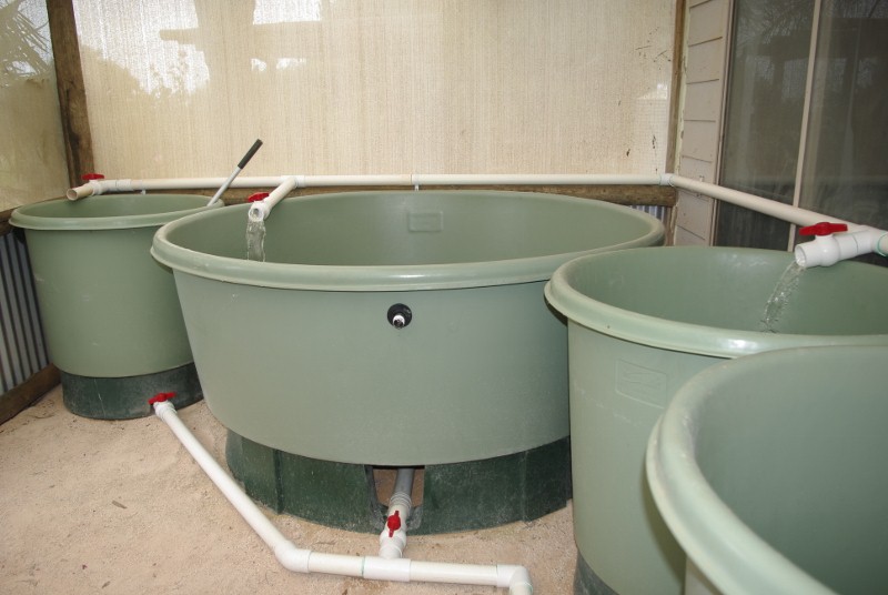 _IGP2244 (800x536).jpg