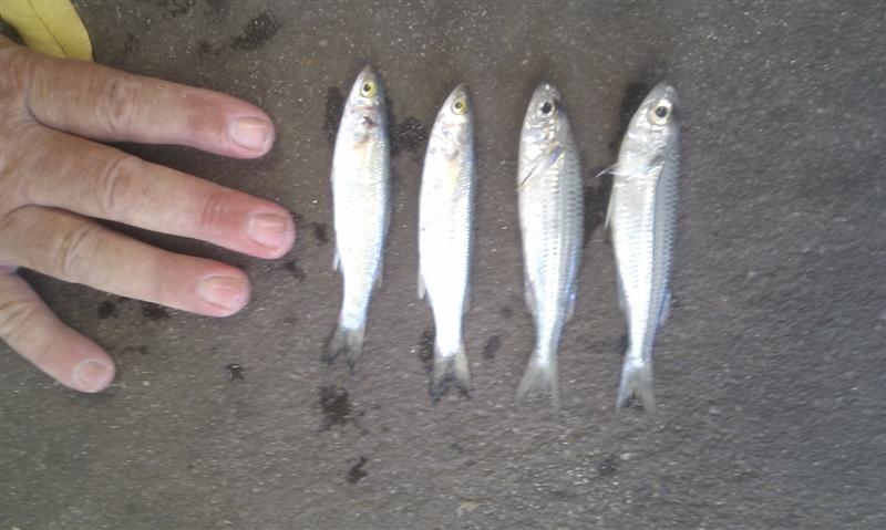 IMAG0108 (Medium).jpg