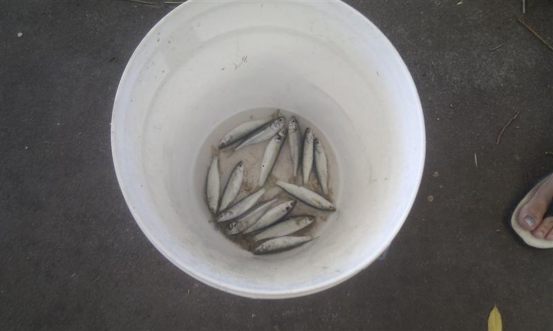 IMAG0106 (Medium).jpg