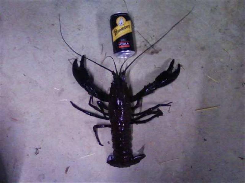 Photo0282 (Medium).jpg