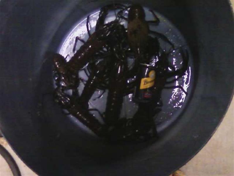 Photo0279 (Medium).jpg