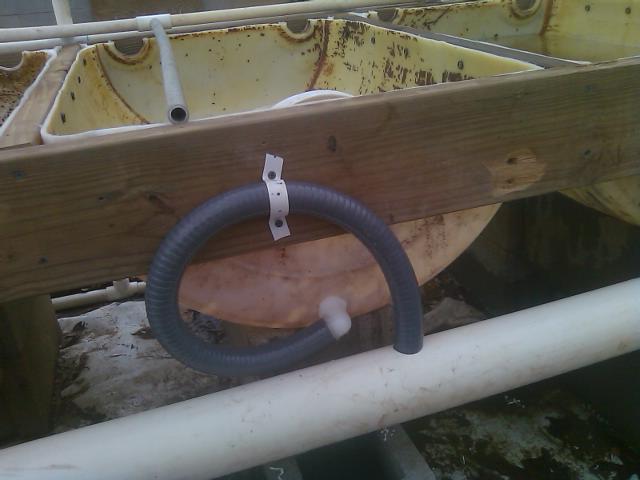 Loop siphon setup on bed 2.jpg