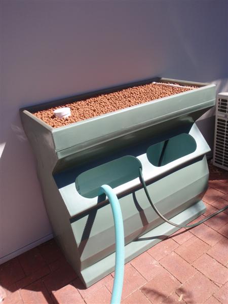 P3080133 (Medium).JPG