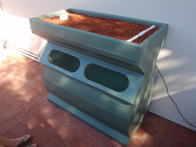 P3080134 (Medium).JPG