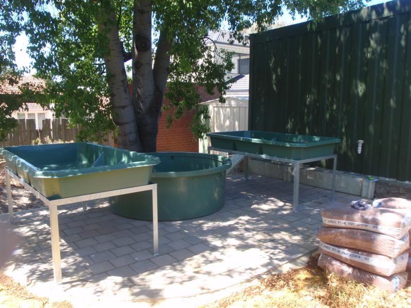 P3110136 (Medium).JPG