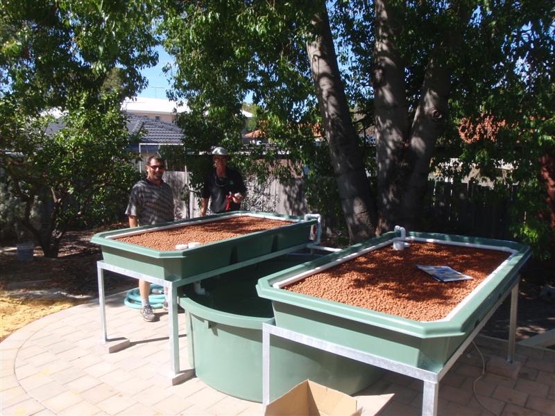 P3110140 (Medium).JPG