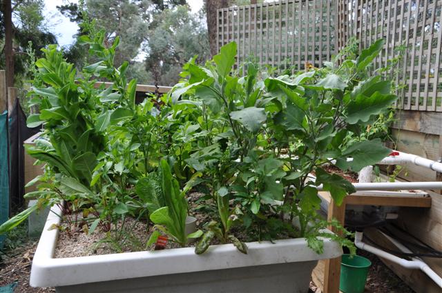 Sunday 13th March 005 (Small).jpg