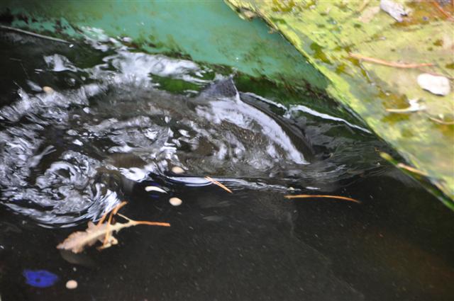 Sunday 13th March 034 (Small).jpg