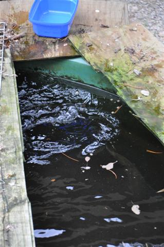 Sunday 13th March 038 (Small).jpg