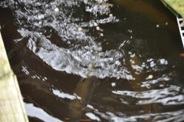 Sunday 13th March 015 (Small).jpg