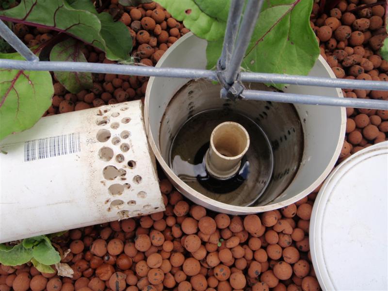 P3140151 (Medium).JPG