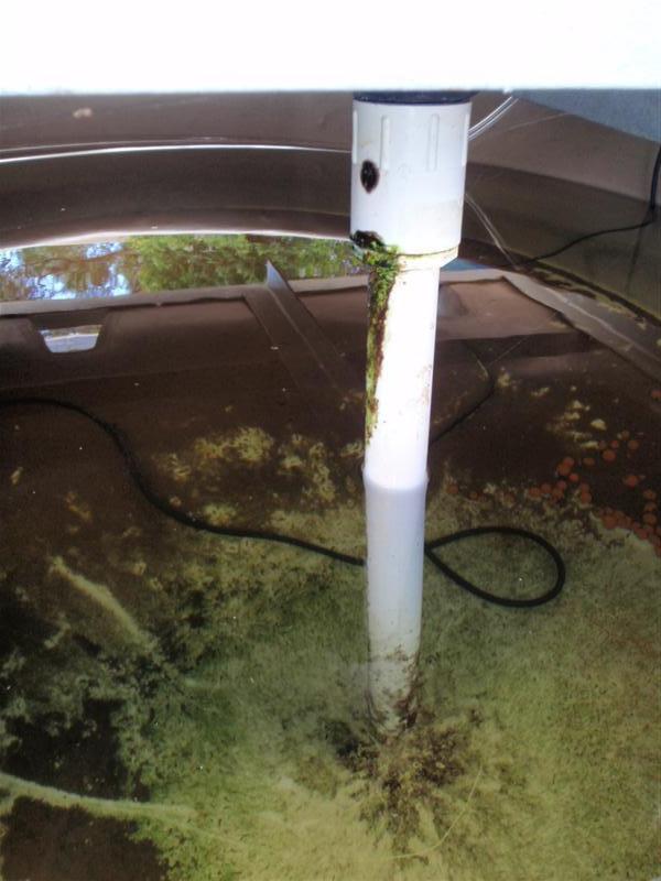 P3140152 (Medium).JPG