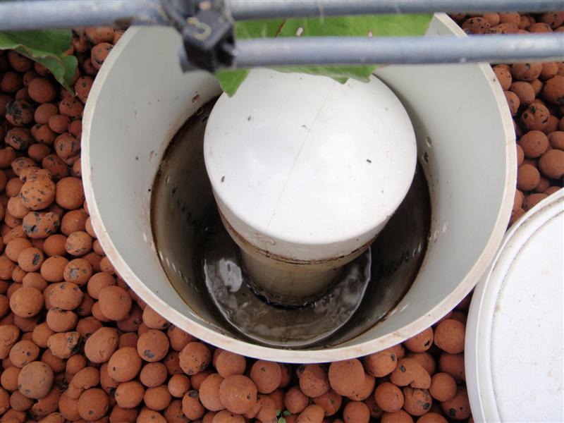 P3140150 (Medium).JPG