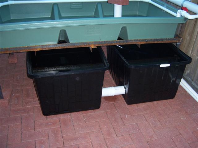 100_1916 (Small).jpg