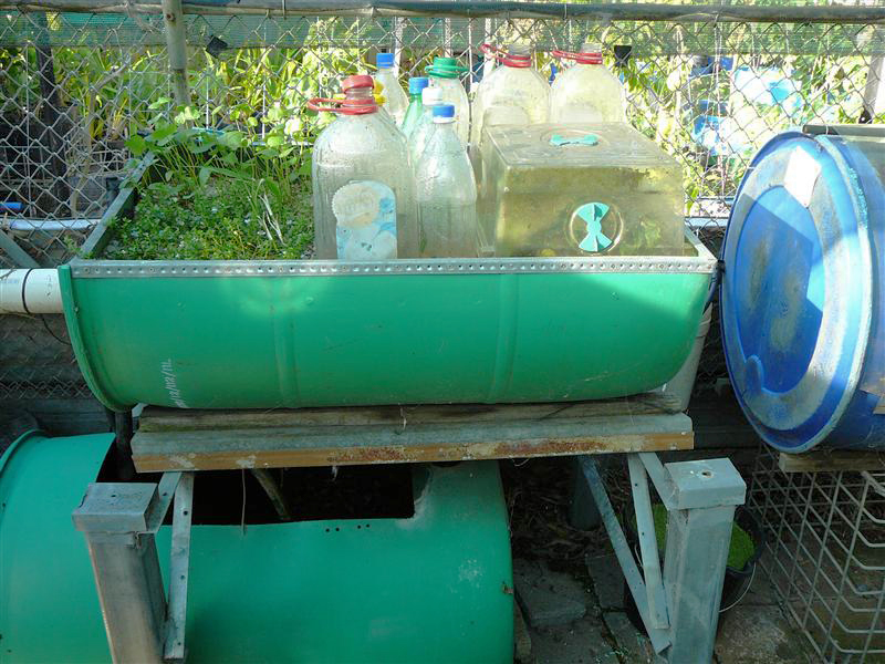 P1040768 (Custom) copy.jpg