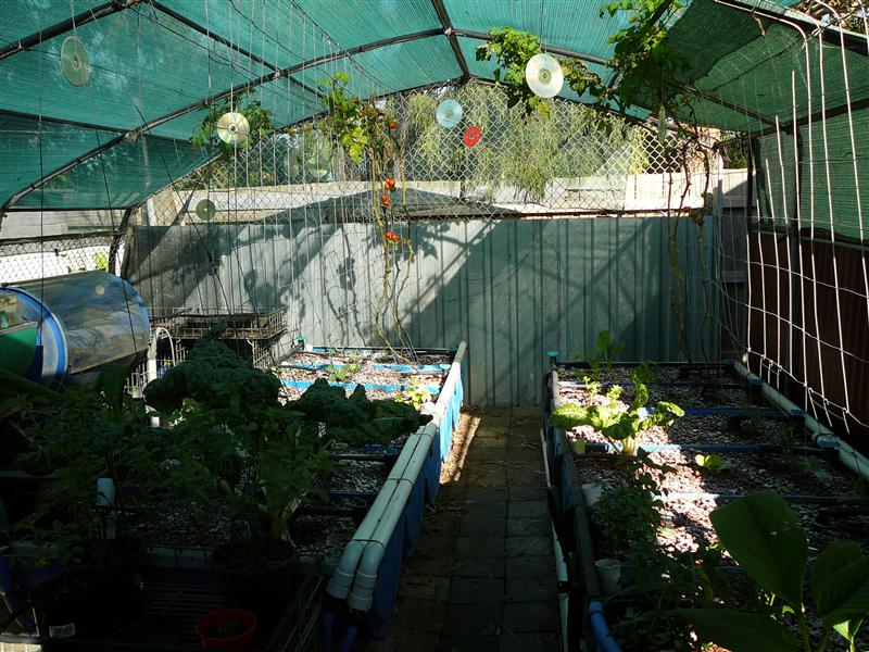 P1040767 (Custom).JPG