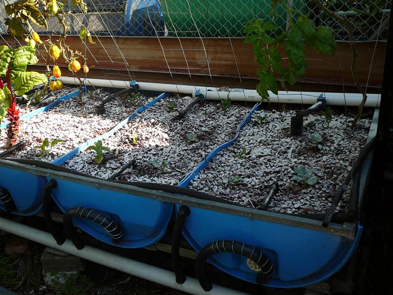 P1040766 (Custom).JPG