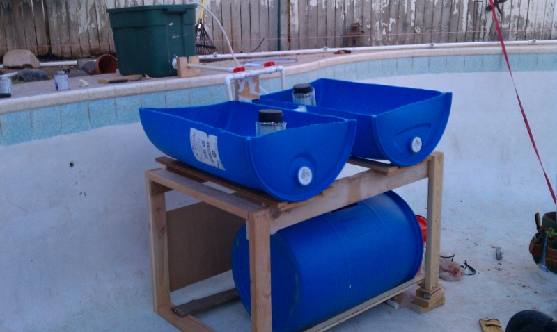 aquaponic2 (800x478).jpg