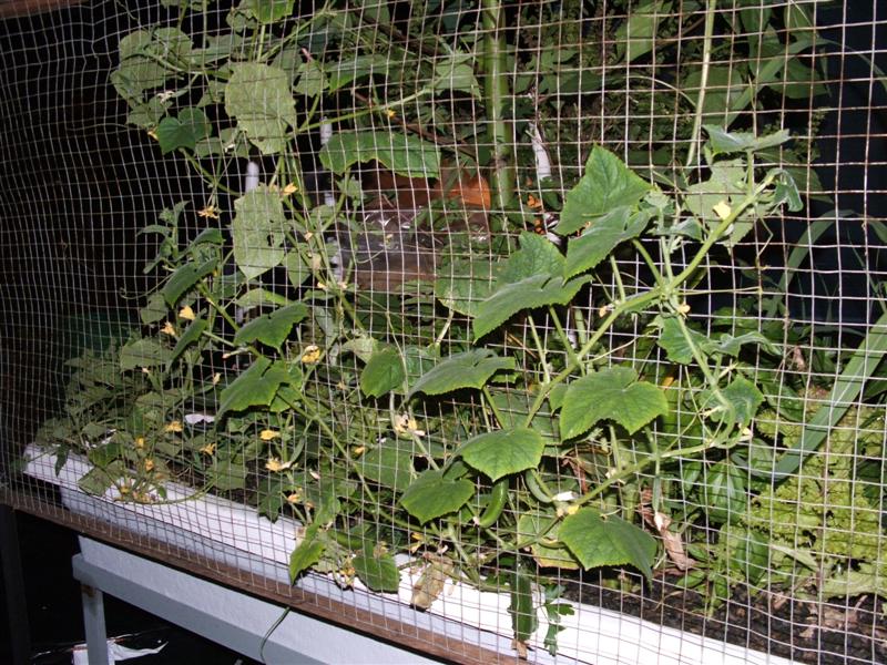 DSCF3818 (Medium).JPG